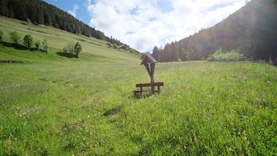 Vom Bergweiler Tesselberg folgt man zunächst dem schmalen Wiesenpfad