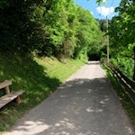 Der Weg nach Prösels wird von schattenspendenden Bäumen und Sträuchern gesäumt