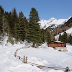Die Huber Alm ist in eine idyllische Landschaft gebettet
