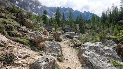 Der Labyrinthsteig zu Füßen des Latemar
