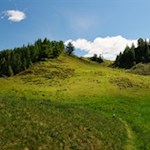 Zuletzt führt ein Wiesensteig auf den Eggespitz