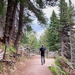 Etwa die Hälfte des Weges führt durch den Wald