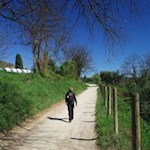 From Bardolino to the towering Rocca di Garda