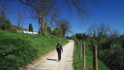 Von Bardolino auf die frei aufragende Rocca di Garda