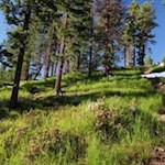 Abzweigung in Richtung Pecol-Hütte