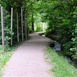 Der-Rablander-Waalweg-verheißt-auch-an-heißen-Tagen-Abkühlung