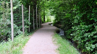 Der Rablander Waalweg verheißt auch an heißen Tagen Abkühlung