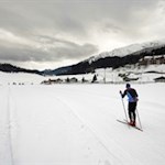 An uns gleitet so mancher Langläufer vorbei