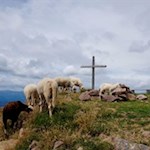 Auf dem friedvollen Schwarzhorn