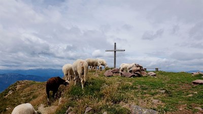 Auf dem friedvollen Schwarzhorn