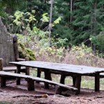 Längs des Weges laden Stationen zum Spielen und Staunen ein