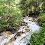 Am rauschenden Wollbach