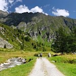 Entlang des Trattenbachs zur Göge Alm