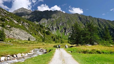 Entlang des Trattenbachs zur Göge Alm