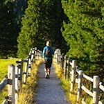 Den Rückweg von der Gampenalm treten wir auf dem Hinweg an