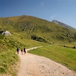 Auf dem breiten Wanderweg Nr. 3