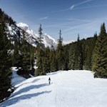Der Rückweg von der Plätzwiese erfolgt auf dem Hinweg