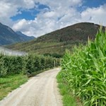 Durch Apfelwiesen und Maisfelder zurück nach Schabs