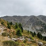 Vor dem eigentlichen Anstieg auf den Blossberg quert man die Hänge zu seinen Füßen