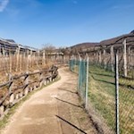 Vom Kalterer See in Richtung Frühlingstal