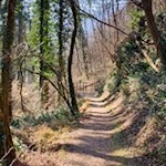 Auf dem Weg Nr. 20A zurück zum Kalterer See