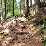 Im steten Anstieg zur Plafötsch Alm