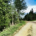 Auf breiten Wegen in Richtung Zirmaitalm