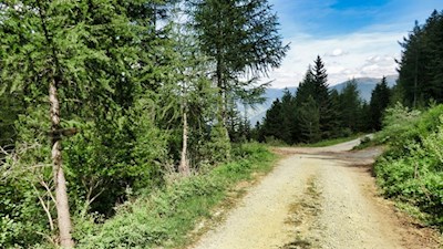 Auf breiten Wegen in Richtung Zirmaitalm