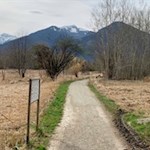 Vor der Kulisse der Karspitze und des Scheibenbergs führt der Apfelweg durch die idyllische Landschaft