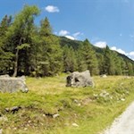 Gemütliche Wanderung zur Lercheralm