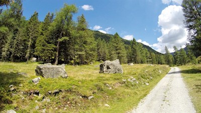 Gemütliche Wanderung zur Lercheralm