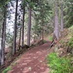 Durch den harzduftenden Wald zur Wollbachalm