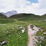 Durch die steinbeschlagenen Almwiesen zur Seekofelhütte
