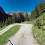 Auf dem Rückweg kann man wieder den Weg Nr. 22 einschlagen oder den breiten Weg Nr. 30 beibehalten