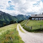 Die-Waldneralm-liegt-am-Sonnenhang-des-Ahrntals