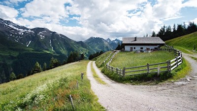 Die Waldneralm liegt am Sonnenhang des Ahrntals