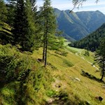 Der erste Anstieg zu den Seebergseen führt durch ein lichtes Waldstück