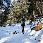 Im steten Anstieg durch den Wald