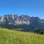 Unser Blick fällt von blumenfrohen Wiesen zum Latemar