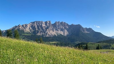 Unser Blick fällt von blumenfrohen Wiesen zum Latemar