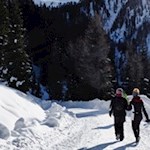 Manche gehen auch zu Fuß ins Tal zurück