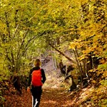 Herbstwanderung auf dem Ritten