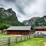 Bei Jung und Alt gleichermaßen beliebt: die gemütliche Grünwaldalm