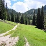 Durch Wald und malerische Lichtungen zur Stolla Alm