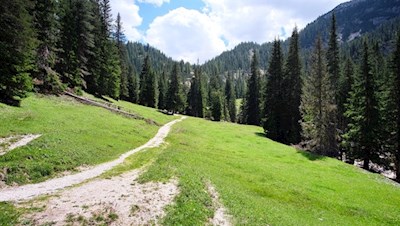 Durch Wald und malerische Lichtungen zur Stolla Alm