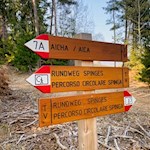 Der Rundweg Spinges ist gut ausgeschildert