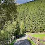 Zunächst folgen wir dem Valser Rundweg