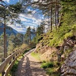 Sanft zieht sich der Legendenweg nach St. Jakob