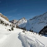 Der Winterwanderweg zur Faneshütte wird auch als Rodelbahn genutzt