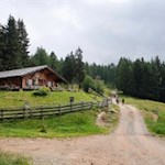 Inmitten-einer-idyllischen-Lichtung-liegt-die-Moschwaldalm